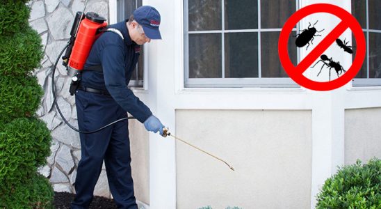 Evka 1 Sivrisinek İlaçlama böcek ilaçlama ve haşere kontrolü — ilaclama-tr.com